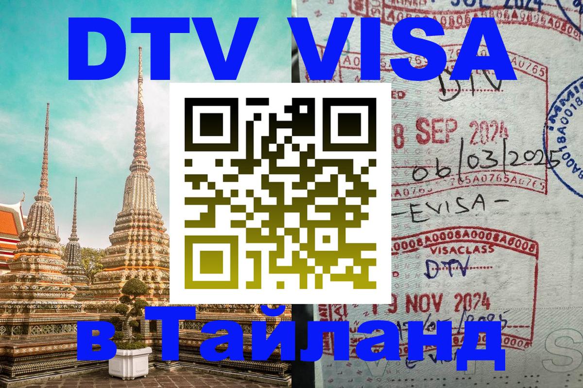 Сколько стоит DTV виза — актуальные цены, оформление даже без документов - 29.01.2026 